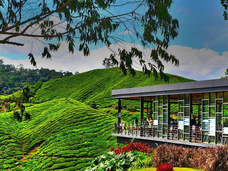 Naufa Muslim'S Homestay At Emerald Avenue Brinchang Eksteriør bilde